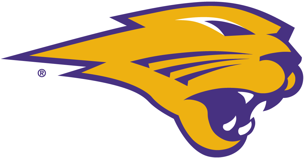 Northern Iowa Panthers 2002-Pres Partial Logo iron on transfers for T-shirts